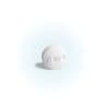 Wegovy Pill (oral semaglutide 25 mg)
